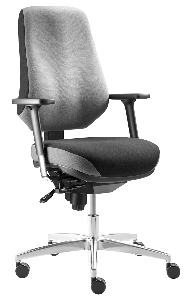 Ergonomic Office Chair Comfort Tergon