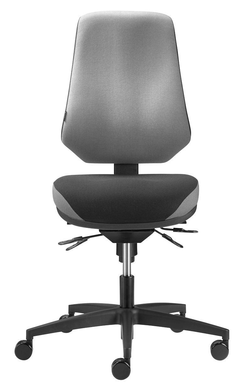 Ergonomic Office Chair Comfort Tergon